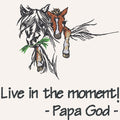 Live in the moment - Mare & Colt
