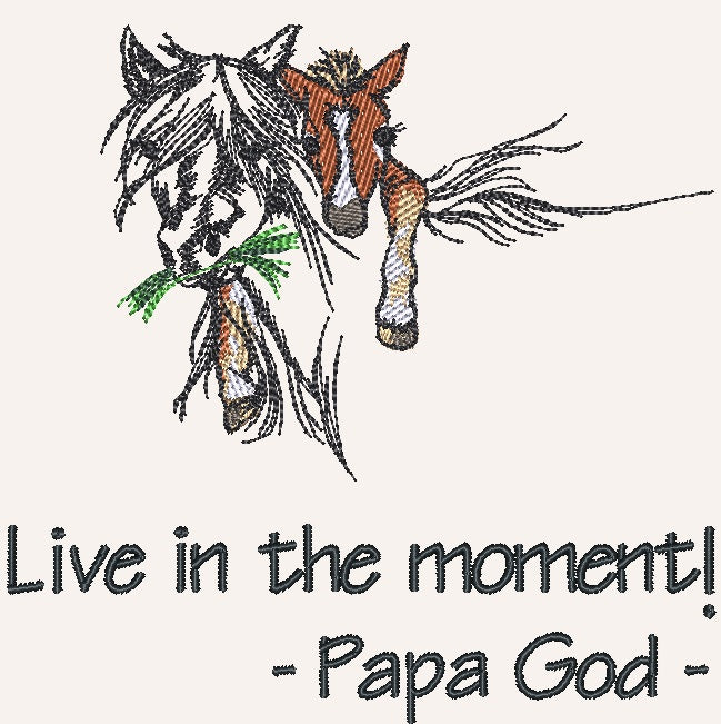 Live in the moment - Mare & Colt