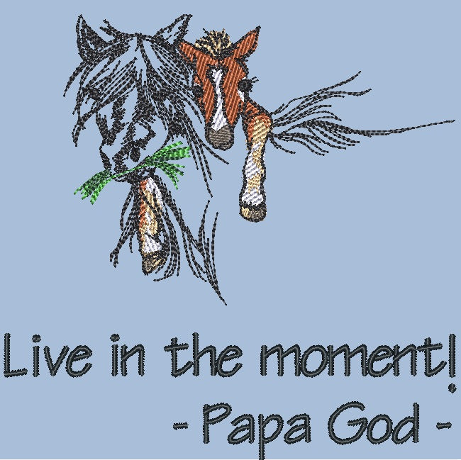 Live in the moment - Mare & Colt