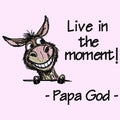 Live in the moment - Smiling Donkey