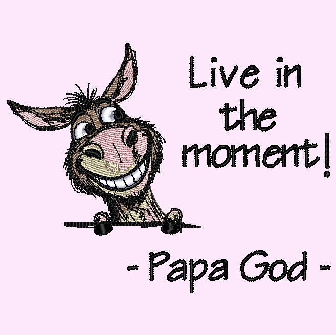 Live in the moment - Smiling Donkey