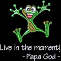 Live in the moment - Tree Frog