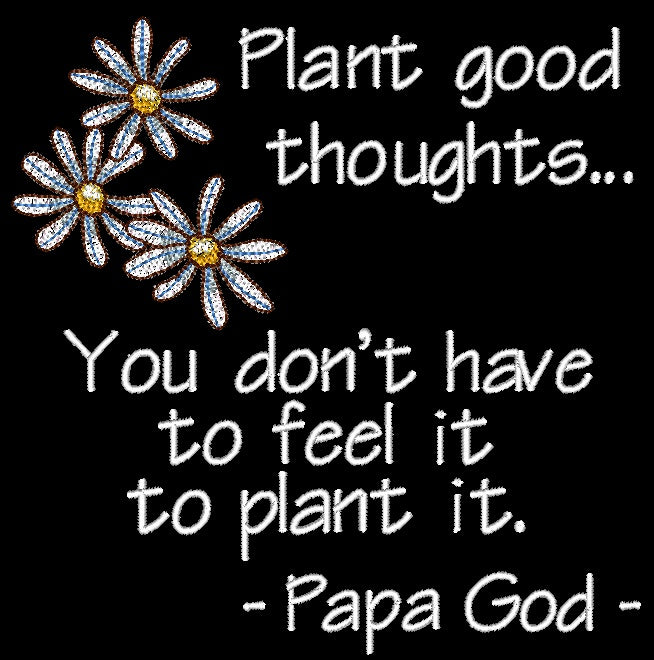 Plant good thoughts - Blue Daisies