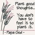 Plant good thoughts - Pink Wildflower