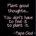 Plant good thoughts