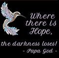 Where there is Hope - Hummingbird